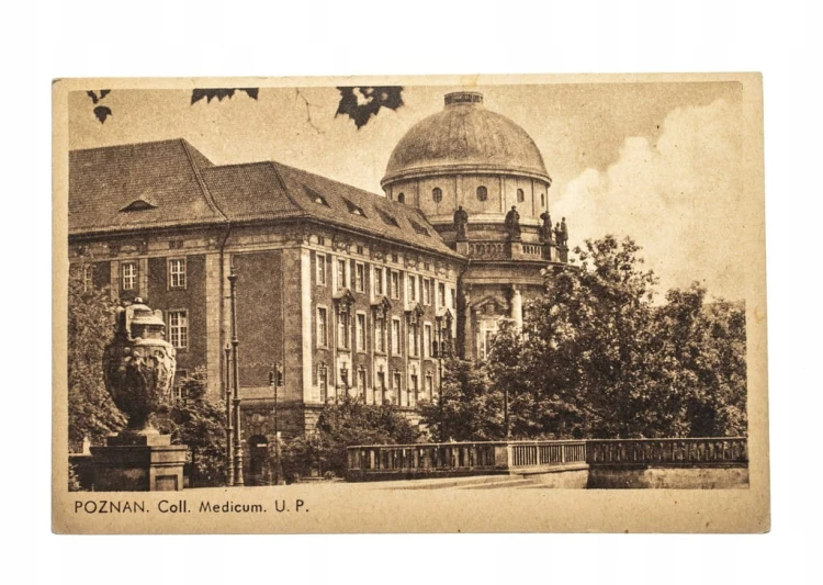 POZNAŃ - COLLEGIUM MEDICUM l. 30