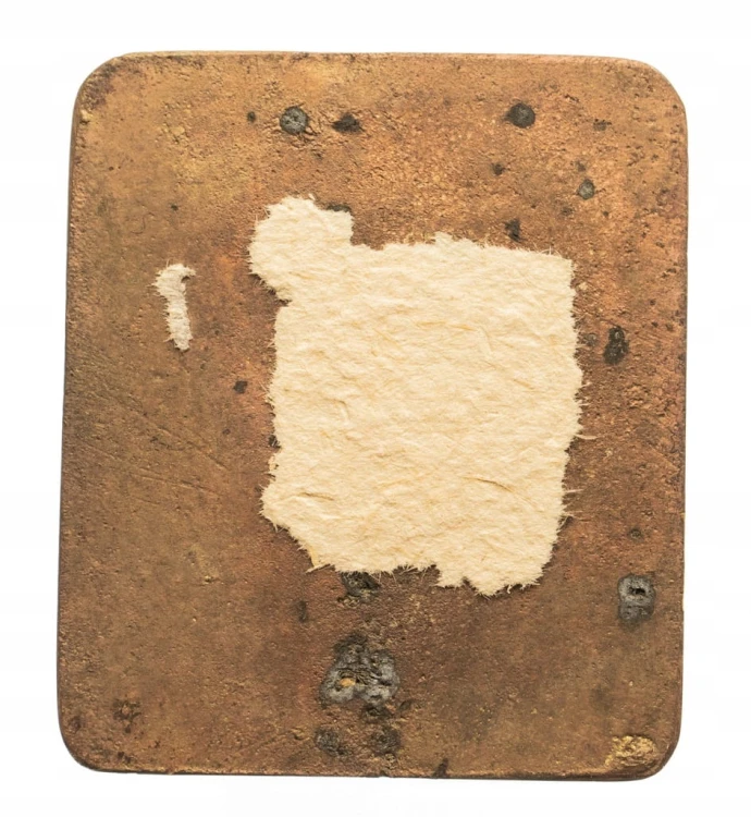 MEDAL 50 LAT TPPR POZNAŃ 1917 - 1967