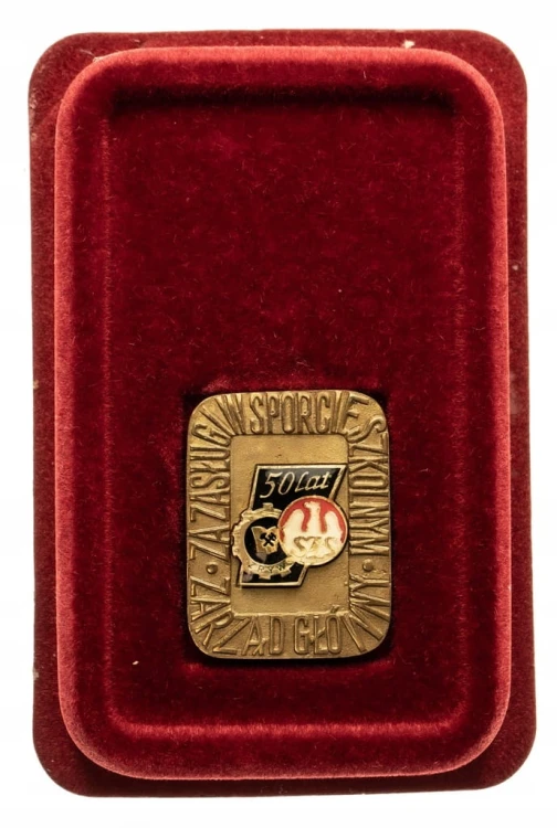 MEDAL ZA ZASŁUGI W SPORCIE SZKOL. 50 LAT ZSZ ZRYW