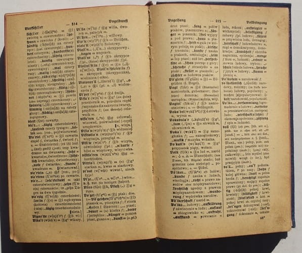 STARY SŁOWNIK KIESZONKOWY NIEMIECKO - POLSKI 1919