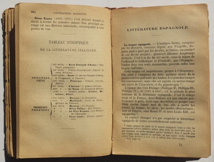 STARA KSIĄŻKA DES LITTERATURES HIST. ABREGEE 1900