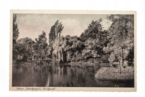 POZNAŃ - PARK KAROLA MARCINKOWSKIEGO, STAW l.20/30