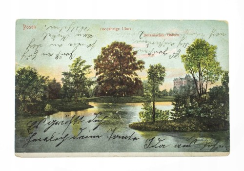 POZNAŃ - OGRÓD BOTANICZNY 1907