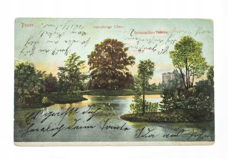 POZNAŃ - OGRÓD BOTANICZNY 1907