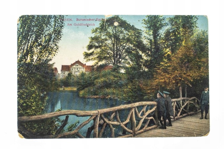 POZNAŃ - OGRÓD BOTANICZNY pocz. XX w.