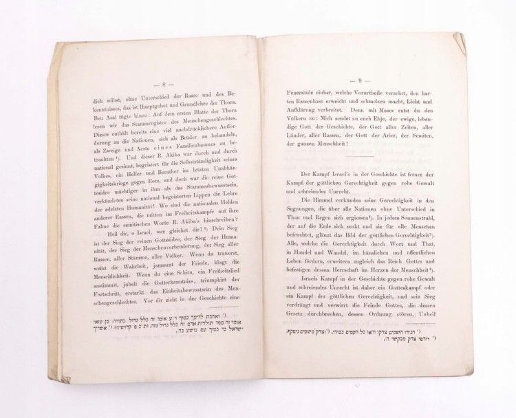 STARA KSIĄŻKA NIEMIECKA - DER KAMPF ISRAEL'S 1880