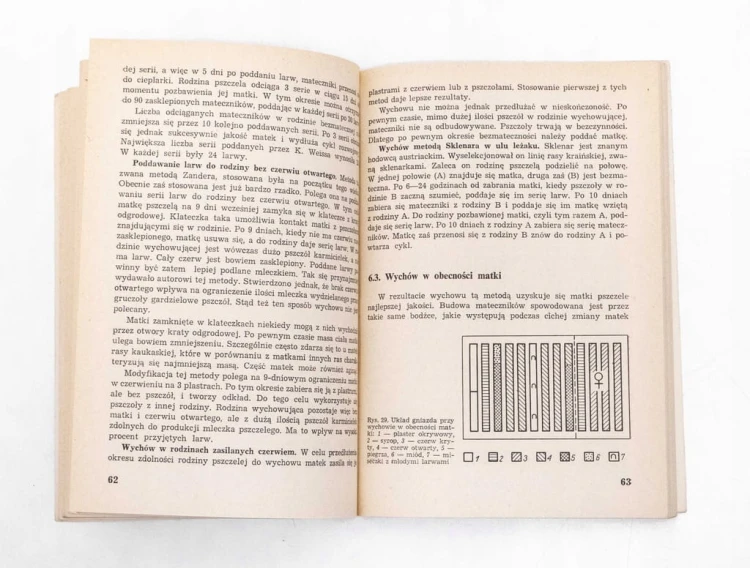 STARA KSIĄŻKA WYCHÓW MATEK PSZCZELICH 1987
