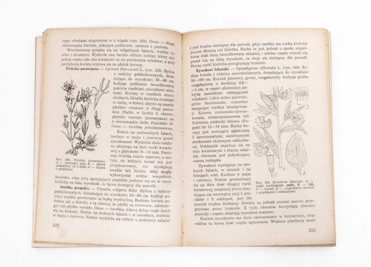 STARA KSIĄŻKA POŻYTKI PSZCZELE, ZAPYLANIE I MIODODAJNOŚĆ ROŚLIN 1976