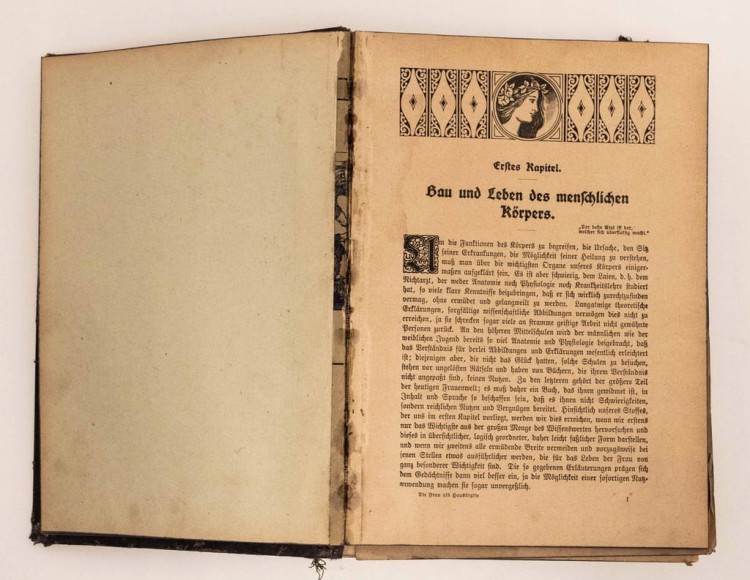 KSIĄŻKA NIEMIECKA DIE FRAU ALS HAUSAERZTIN 1920