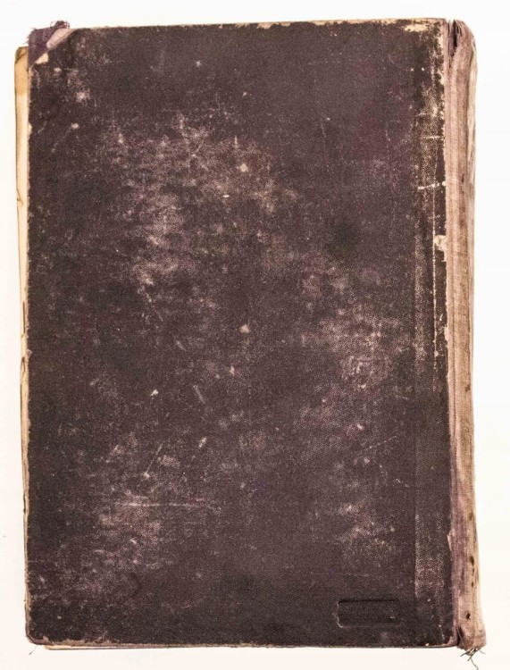 KSIĄŻKA NIEMIECKA DIE FRAU ALS HAUSAERZTIN 1920