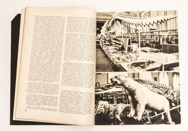STARY MIESIĘCZNIK MEDYCYNA I PRZYRODA NR. 1 - 1938