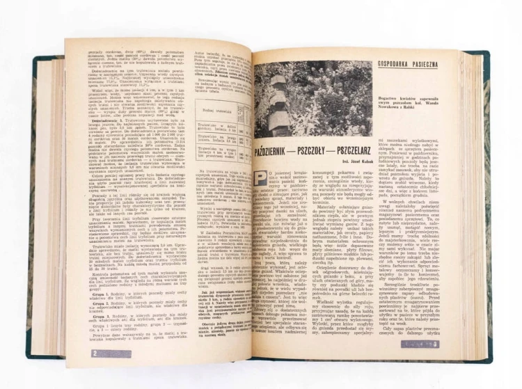 STARE CZASOPISMO - PSZCZELARSTWO, ROCZNIK 1966 / 1967