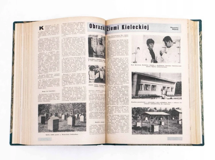 STARE CZASOPISMO - PSZCZELARSTWO, ROCZNIK 1966 / 1967