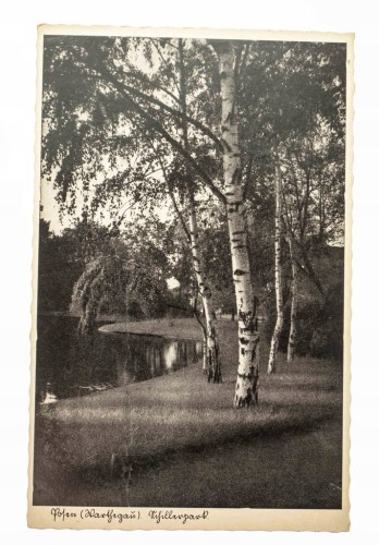 POZNAŃ - PARK, STAW 1943