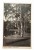 POZNAŃ - PARK, STAW 1943