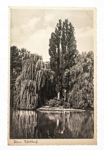 POZNAŃ - PARK, STAW 1943
