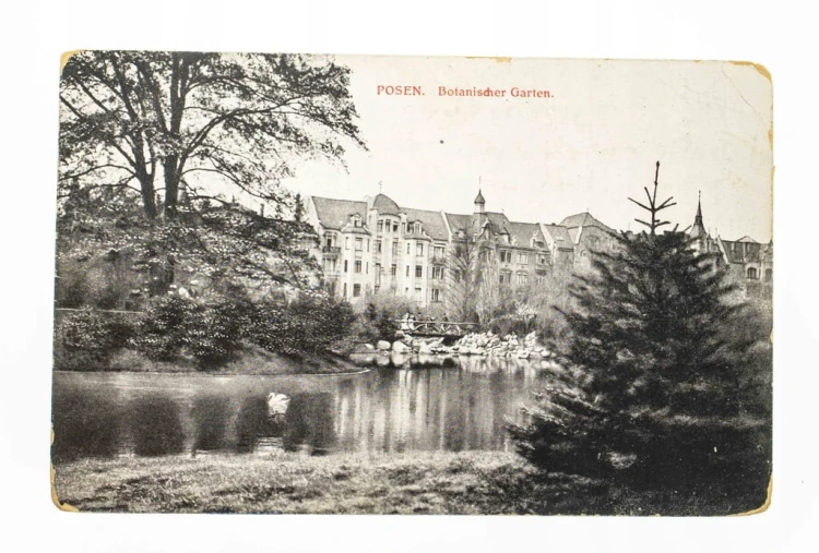POZNAŃ - GŁÓWNA, OGRÓD BOTANICZNY, FELDPOST 1916