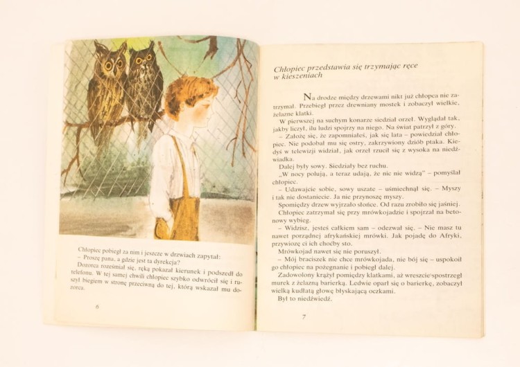 STARA KSIĄŻKA BAJKA NIEDŹWIEDŹ DLA BRACISZKA 1987