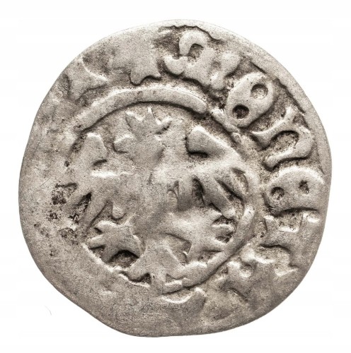 Jan I Olbracht 1492-1501, półgrosz koronny, Kraków