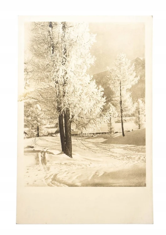 GÓRY, WIDOK OGÓLNY ZIMA l. 20/30