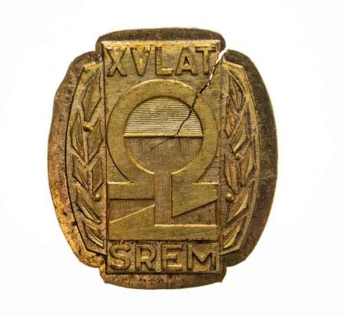 MEDAL EMBLEMAT XV LAT ŚREM