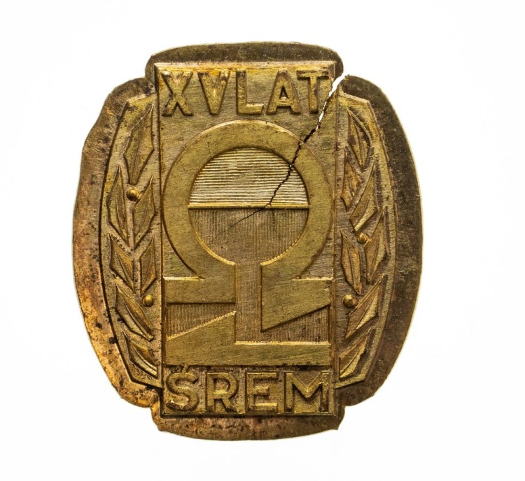 MEDAL EMBLEMAT XV LAT ŚREM