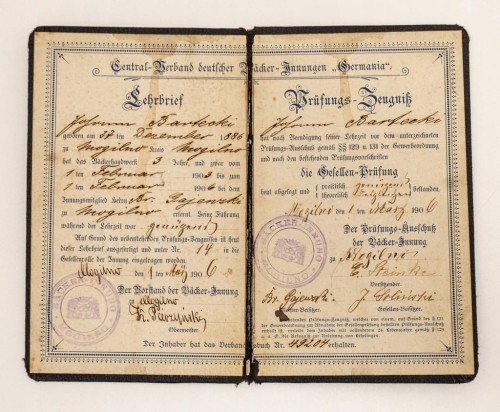 LIST CZELADNICZY - ŚWIADECTWO NAUKI MOGILNO 1906