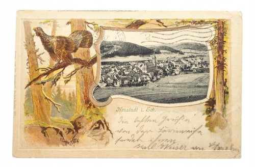 PRUDNIK - WIDOK OGÓLNY 1904