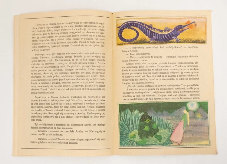 STARA KSIĄŻKA BAŚŃ O ŹRÓDLE I BAŚŃ O LUBONIU 1984