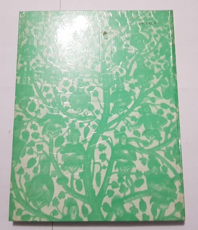 STARA KSIĄŻKA O SZTUCE DAWNEJ AMERYKI 1972
