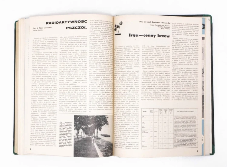 STARE CZASOPISMO - PSZCZELARSTWO, ROCZNIK 1974 / 1975