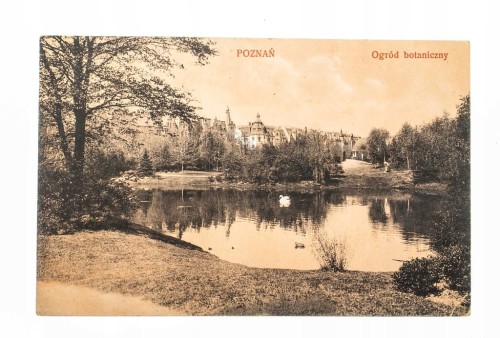 POZNAŃ - OGRÓD BOTANICZNY, FELDPOST 1915