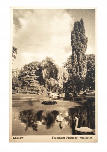 KRAKÓW - PARK, FRAGMENT PLANTACJI MIEJSKIEJ l. 30
