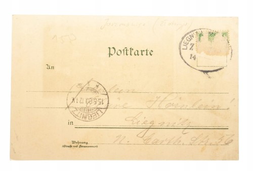 JARZMANICE-ZDRÓJ k. ZŁOTORYI - PANORAMA 1900