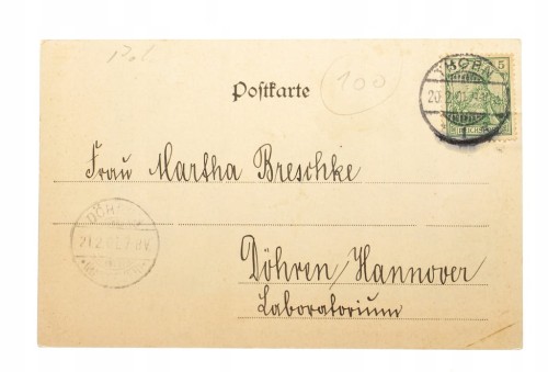 TORUŃ - BREITESTRASSE, TRAMWAJ, BRYCZKA 1901