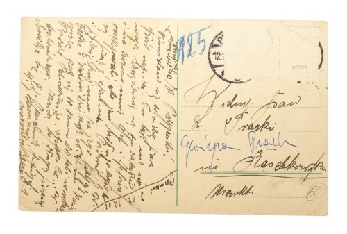 POZNAŃ - MUZEUM MIELŻYŃSKICH 1916