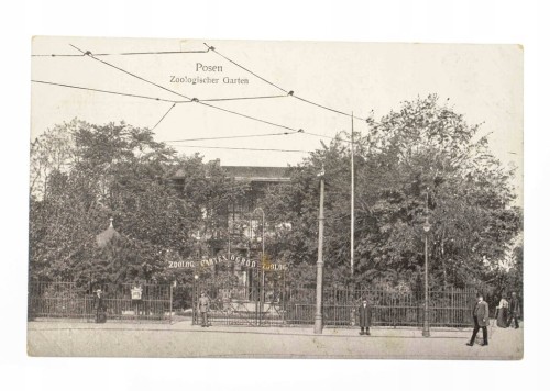 POZNAŃ - OGRÓD ZOOLOGICZNY, ZOO 1917