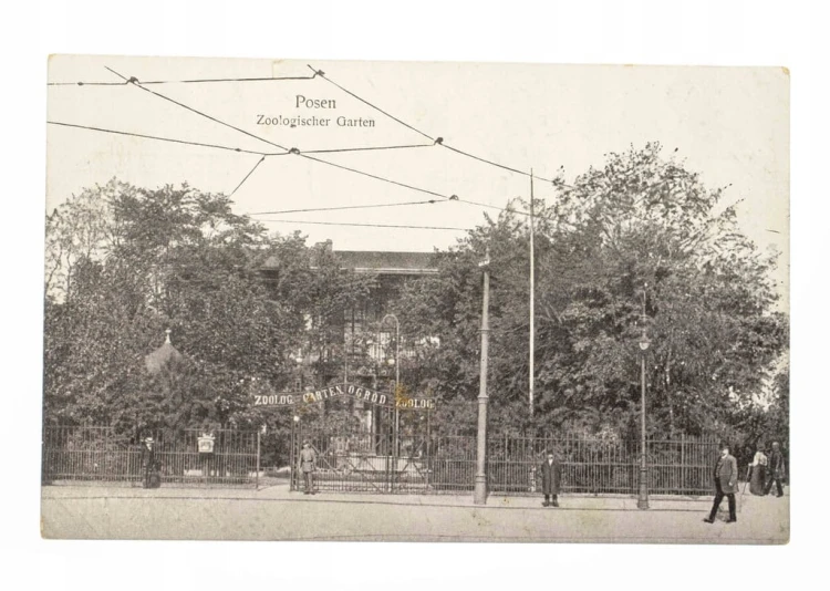 POZNAŃ - OGRÓD ZOOLOGICZNY, ZOO 1917