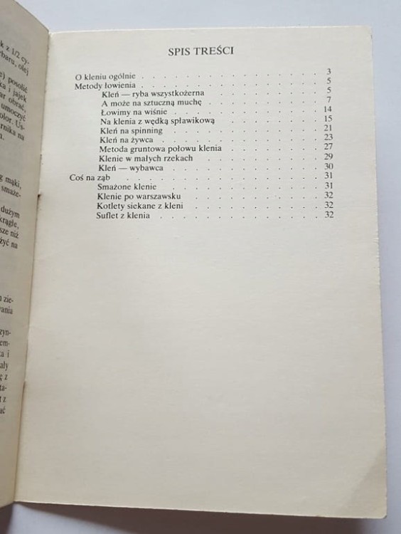 STARA KSIĄŻKA KLEŃ 1987