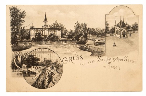 POZNAŃ ZOO 1909