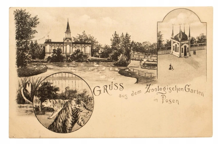 POZNAŃ ZOO 1909