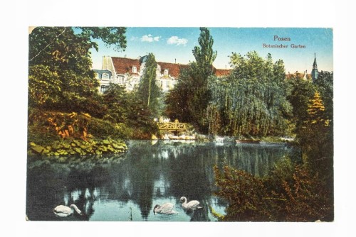 POZNAŃ - OGRÓD BOTANICZNY, FELDPOST 1917