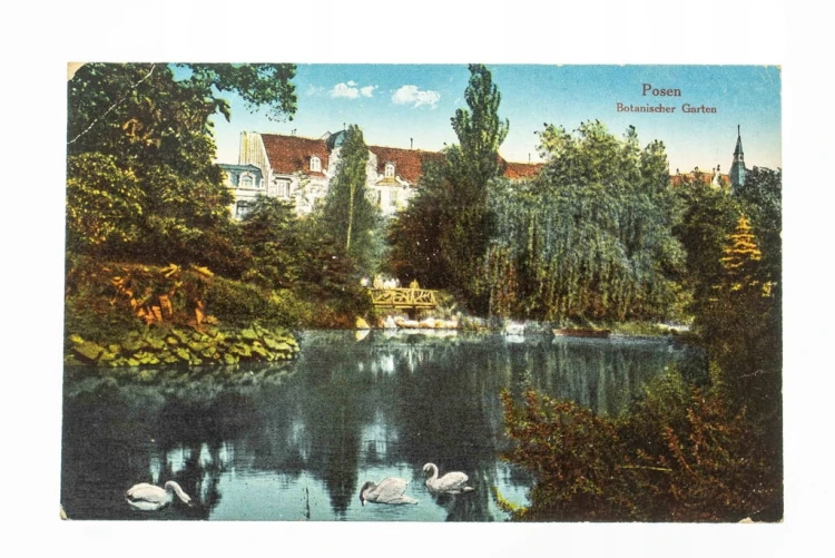 POZNAŃ - OGRÓD BOTANICZNY, FELDPOST 1917