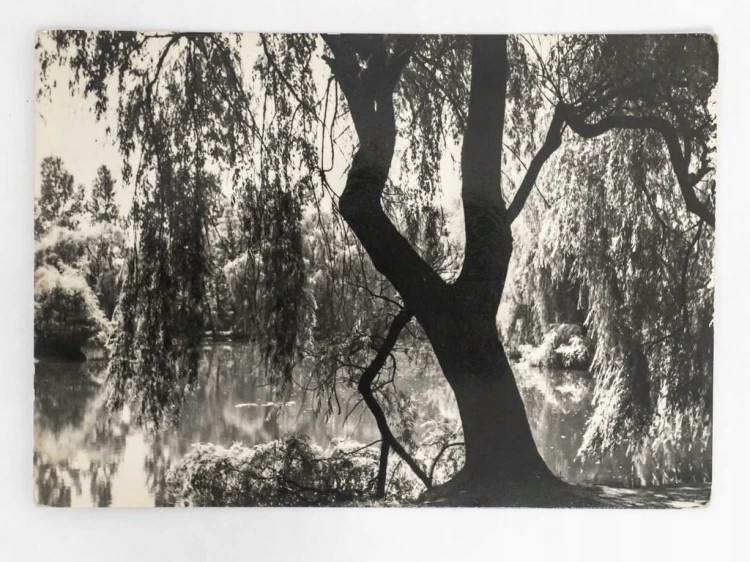 DĄBROWA GÓRNICZA - PARK KULTURY I WYPOCZYNKU ZIELONA 1967