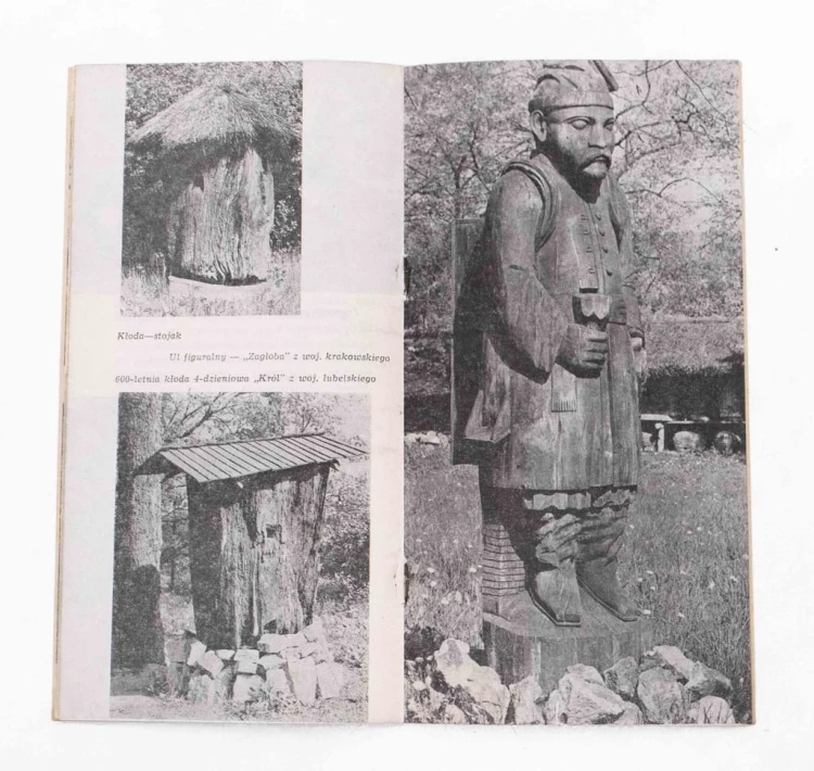 STARA KSIĄŻKA / BROSZURA SKANSEN PSZCZELARSKI, SWARZĘDZ 1974