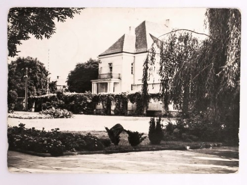 OSTROWIEC ŚWIĘTOKRZYSKI - FRAGMENT PARKU 1966