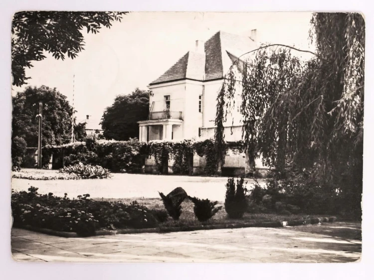 OSTROWIEC ŚWIĘTOKRZYSKI - FRAGMENT PARKU 1966