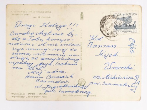 OSTROWIEC ŚWIĘTOKRZYSKI - FRAGMENT PARKU 1966