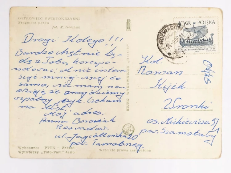 OSTROWIEC ŚWIĘTOKRZYSKI - FRAGMENT PARKU 1966