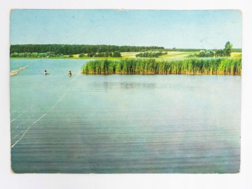 WIELKOPOLSKI PARK NARODOWY - JEZIORO WITOBELSKIE 1969